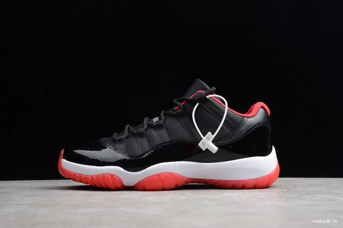 Chep Onekick  mens 11 Air 